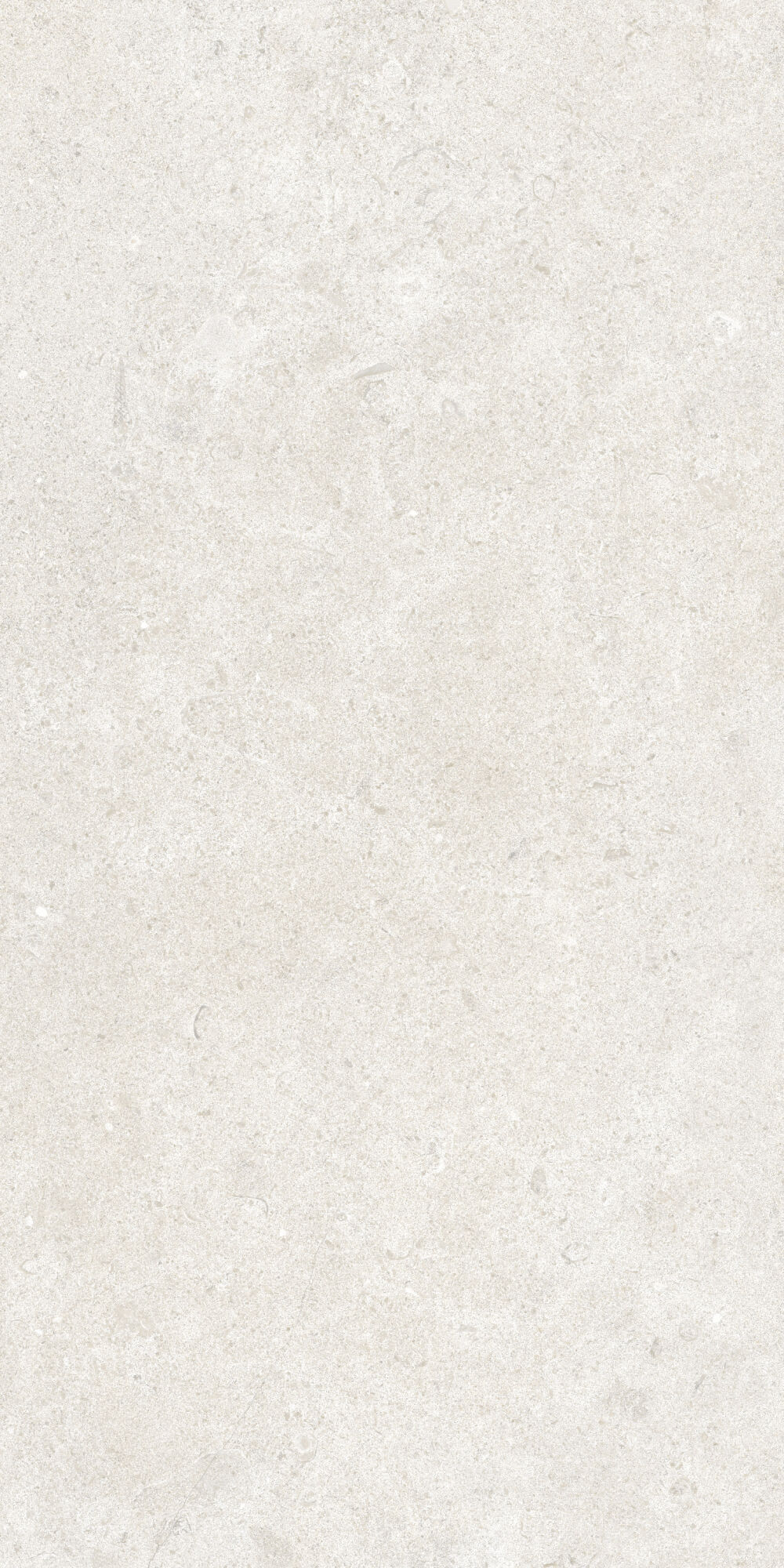 36903 Cluny Sand 4D/50X100X2/A/R 50x100 Peronda фото 2