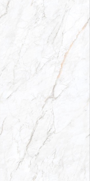 Arden White Velvet 60x120 Leopard