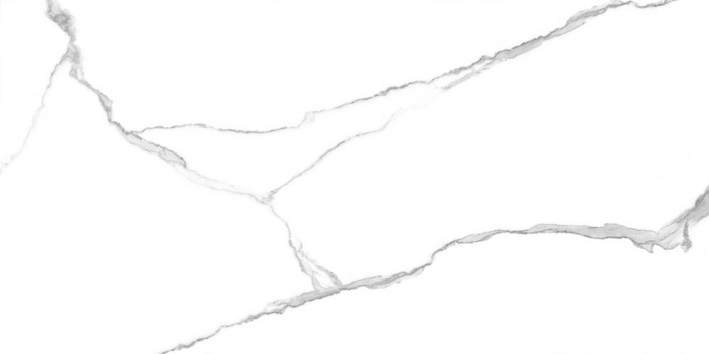 GT120601503PR Anima Белый полированный 60x120 Global Tile