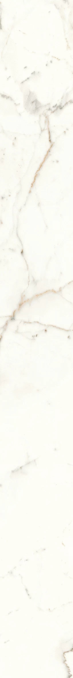 A421 Marvel Calacatta Prestigio Scenic Bookm A Lp 120x278 Atlas Concorde