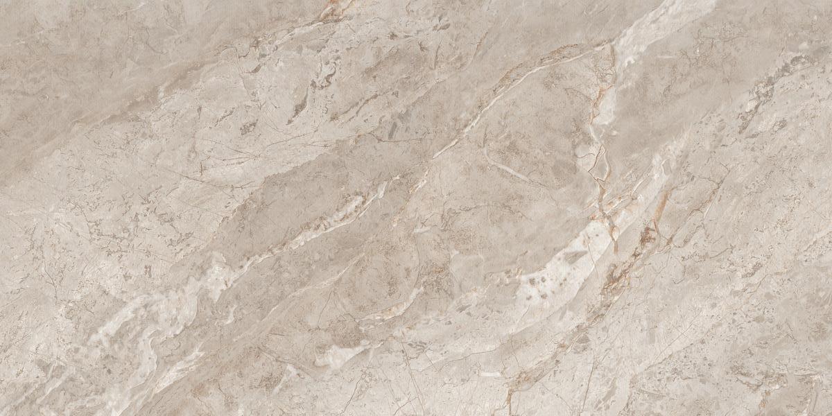 N20767 Rome Taupe Polished 60x120 Neodom фото 2