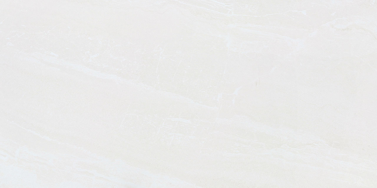 ZS612NTT9701P Zeus 60x120 NT Ceramic