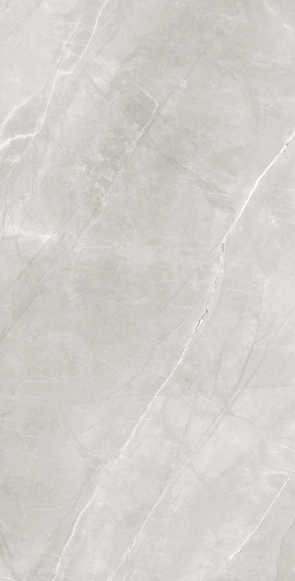 RT7013-A Armani Silver Matt Rustic 60x120 Arcadia Ceramica