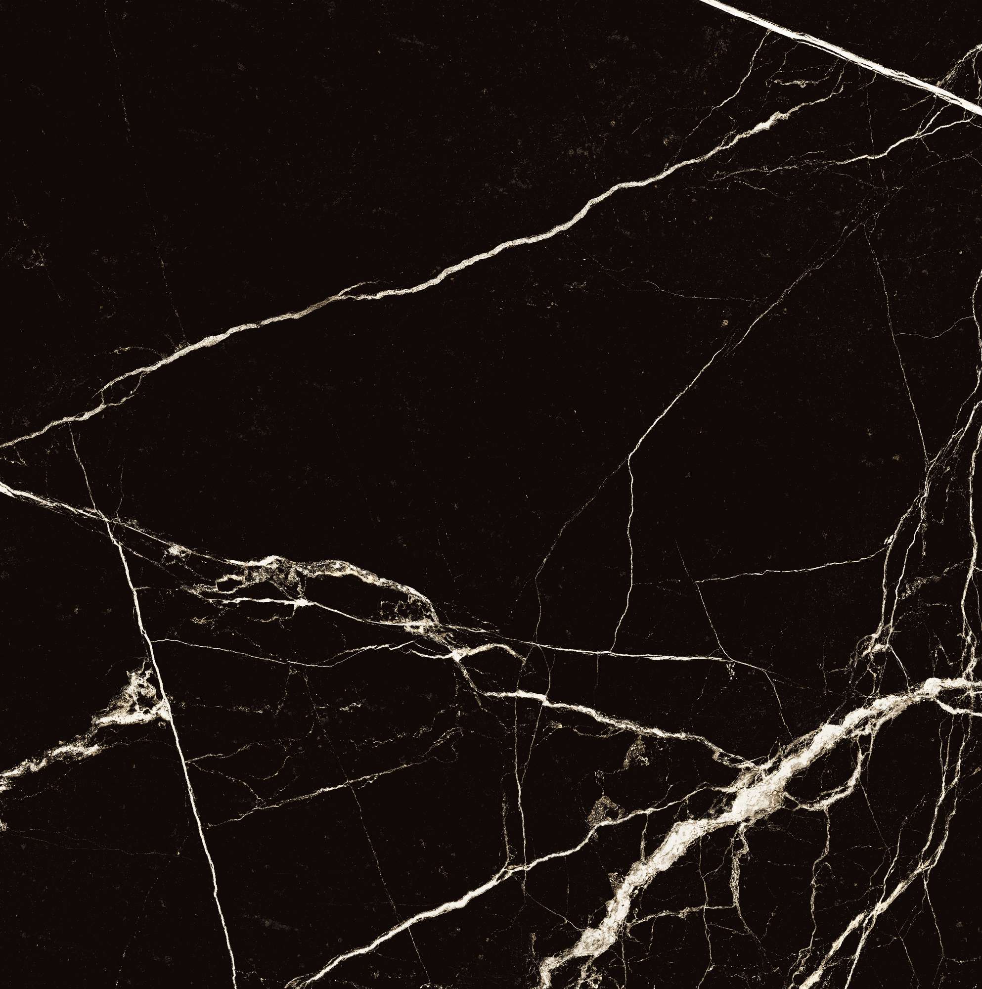 HG2008-A Black Spinder High Gloss 60x60 Arcadia Ceramica