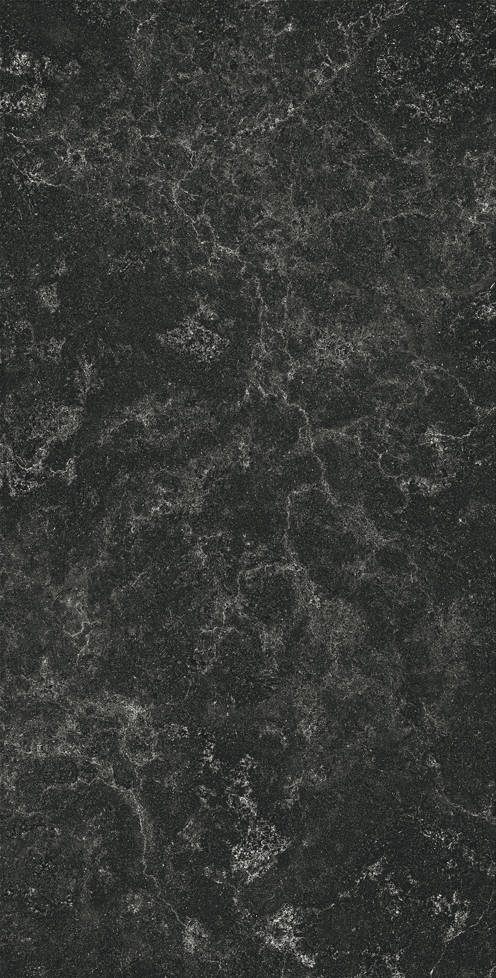 GI8014-CB Palatino Nero Glossy Ink 60x120 Creanza