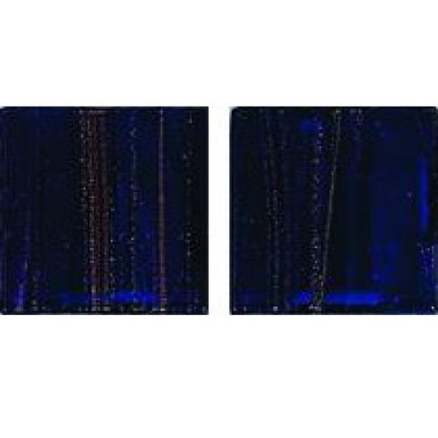 GC 61 2x2 JNJ Mosaic