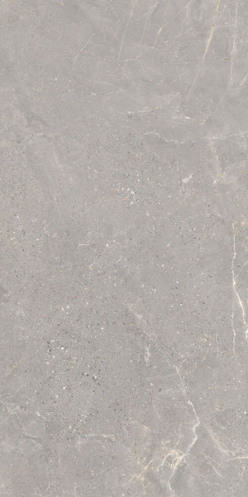 37736 Alchemy Iron As/60x120x0,9/C/R 60x120 Peronda