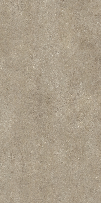 768583 Sensi Taupe Fossil Nat Ret 6mm 120x240 Casa Dolce Casa