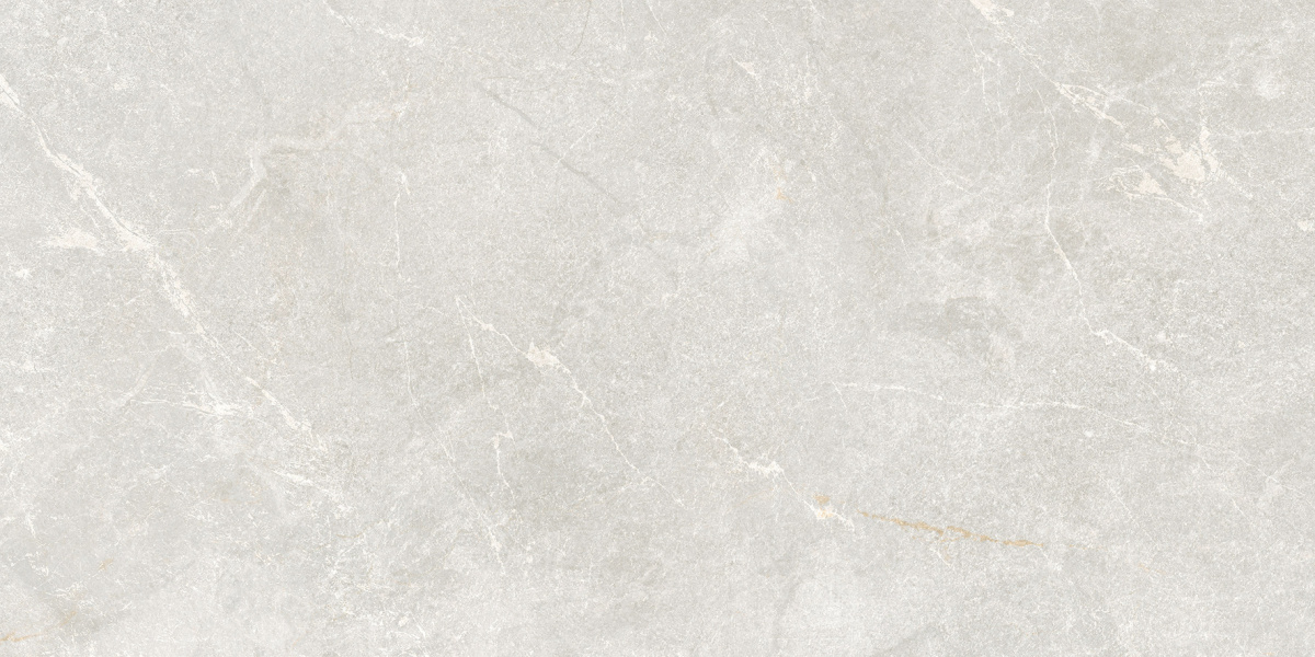 Rocky Bianco PRO светло-серый матовый R10GR STR CB 60х120 Laparet