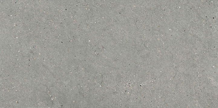 44MI39R MITICA GRIS REC R10 60X120 Grespania