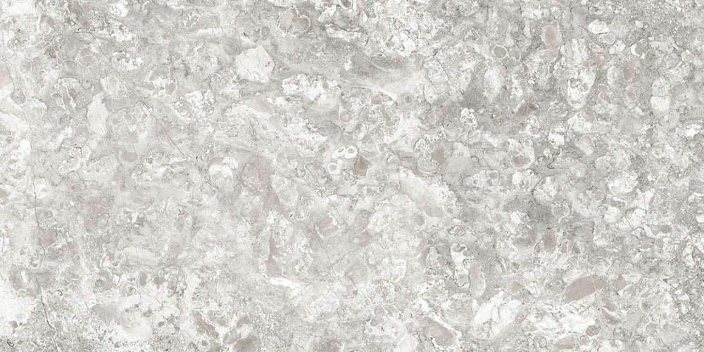 Lunar Grey Light / Лунар Светло-серый LR 120x60 Idalgo (Идальго)