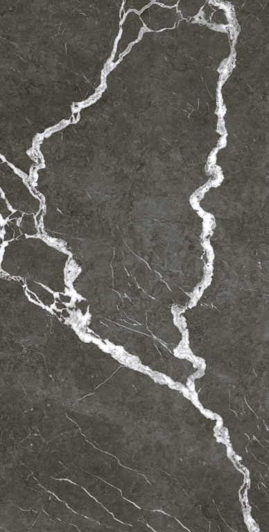 610010002747 Микеланджело Дарк 60x120 ColiseumGres