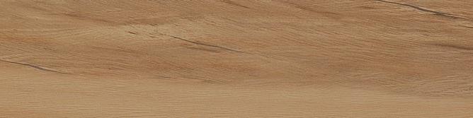 Leccio Oliato 10x40 Serenissima Cir