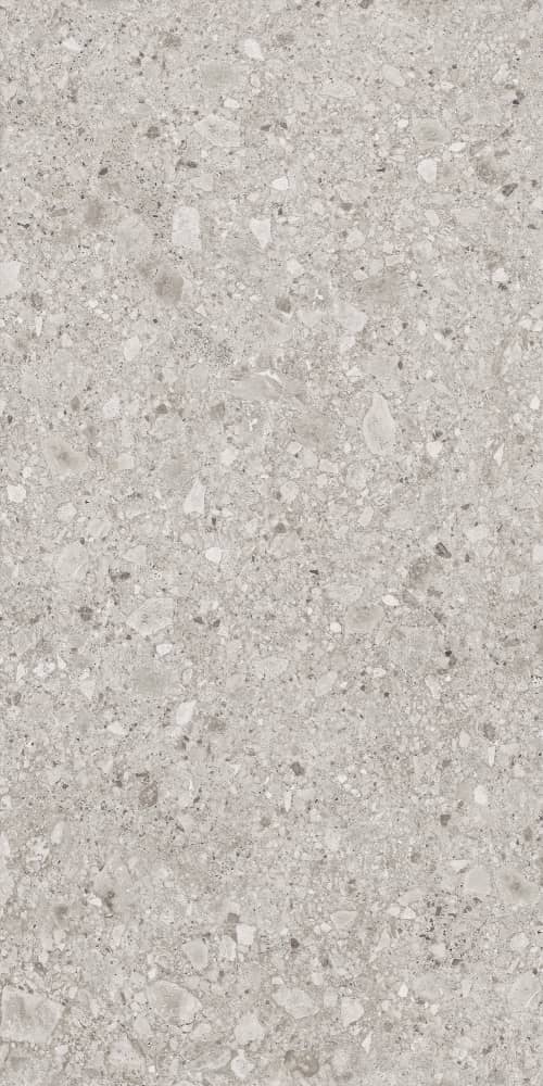 6493-0136 Иней серый 60х120 Lasselsberger