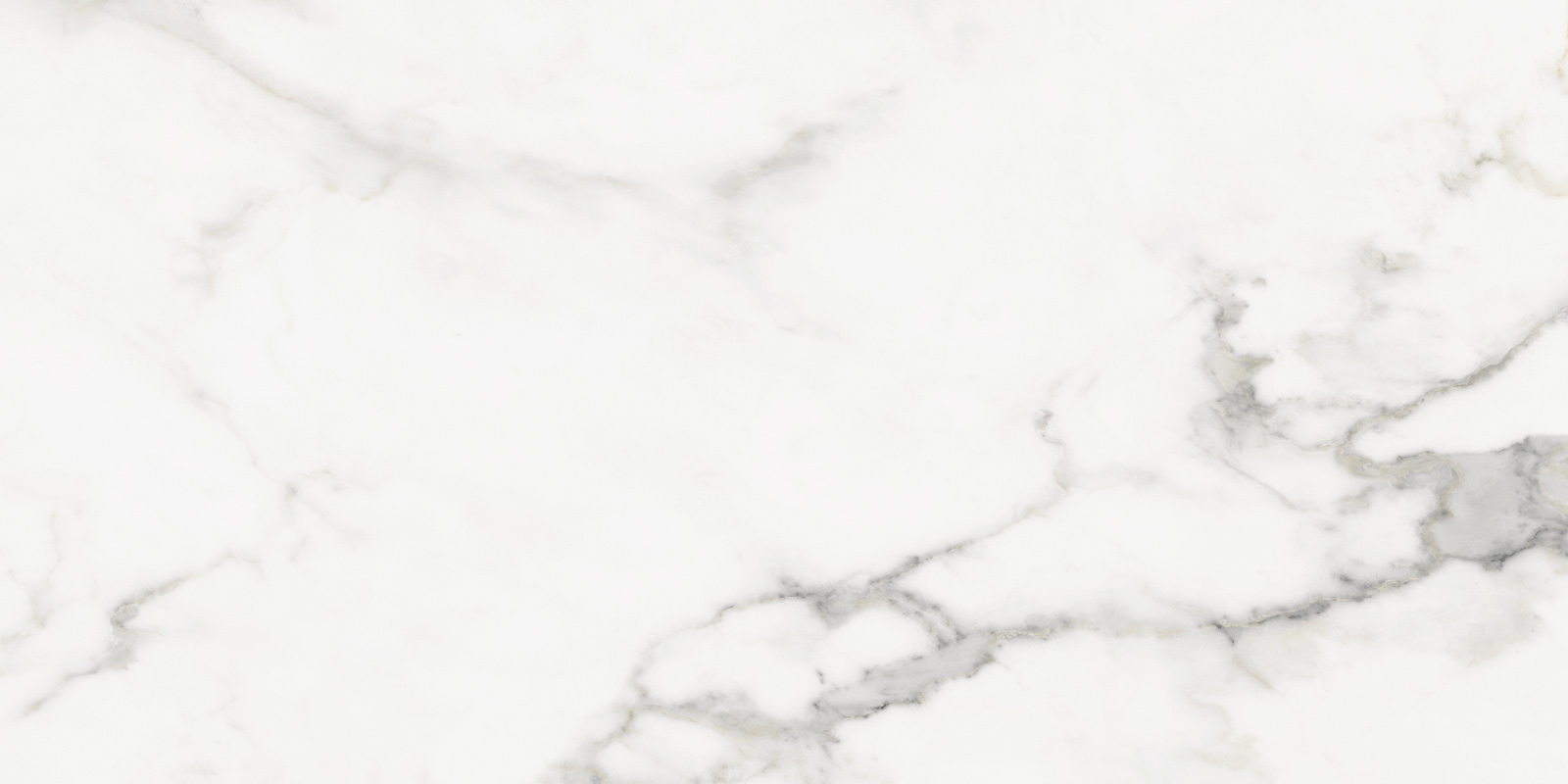 60120CLL15 Calacatta Lincoln Sugar 600x1200x9.5 Delacora