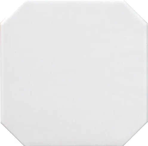 20547 Octagon Blanco Mate 20х20 EQUIPE