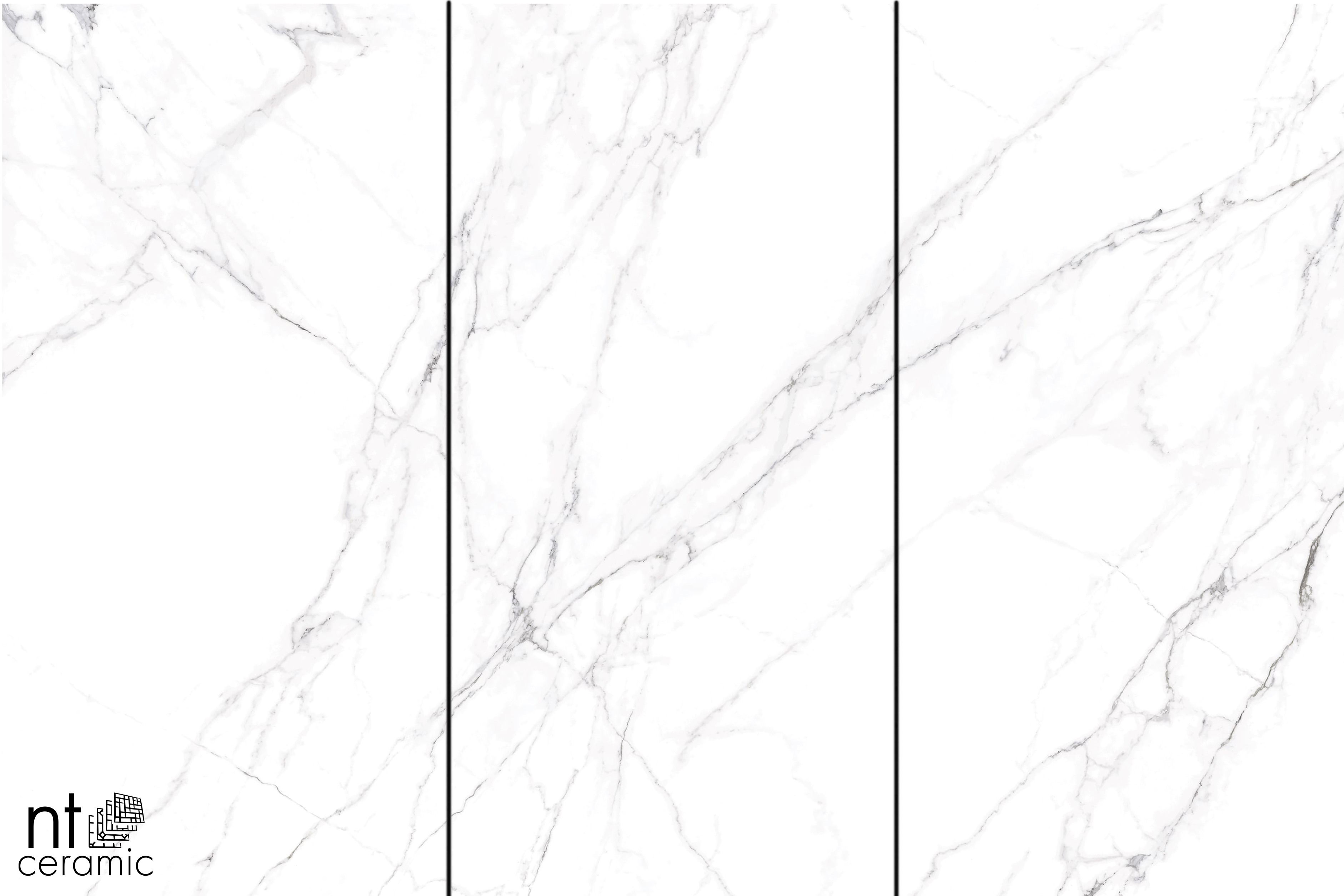 NTT3506L Calacatta Light 120x270 NT Ceramic