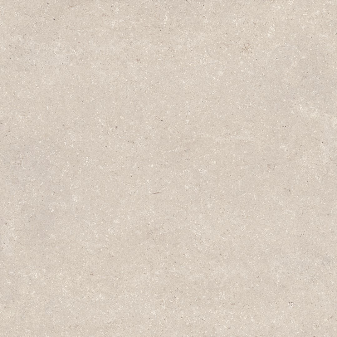 100330176 Coral Caliza L 120x120 Porcelanosa фото 2