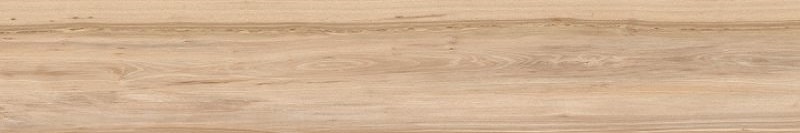 21NI03R Native Frassino NI 3 Rett 20x120 Del Conca