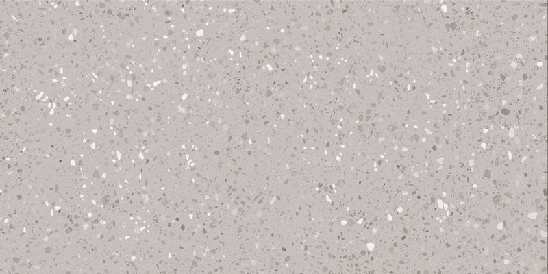 DASV1811 Porfido grey R10 60x120 RAKO