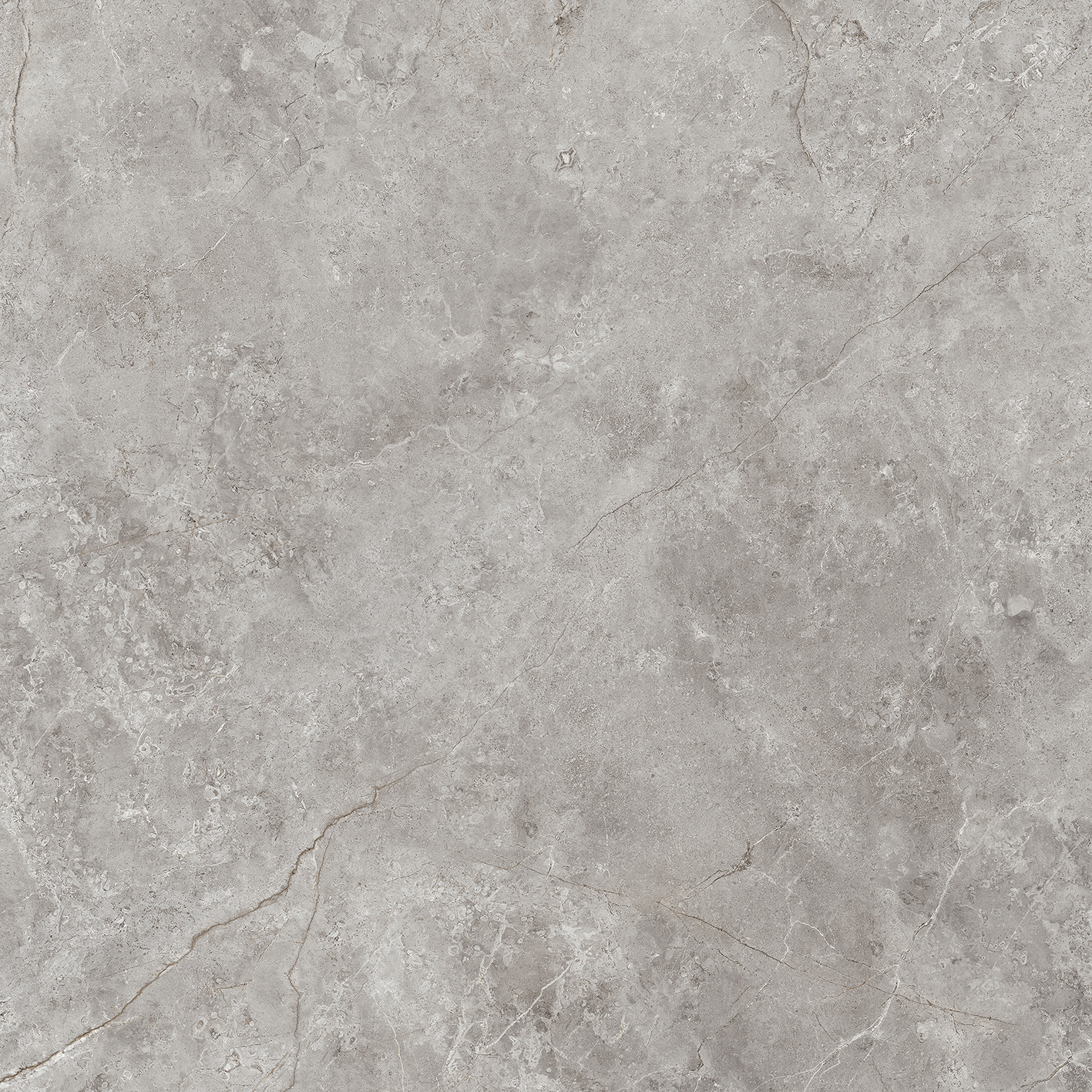 100331094 Fiori Di Bosco Polished 120x120 Urbatek фото 9