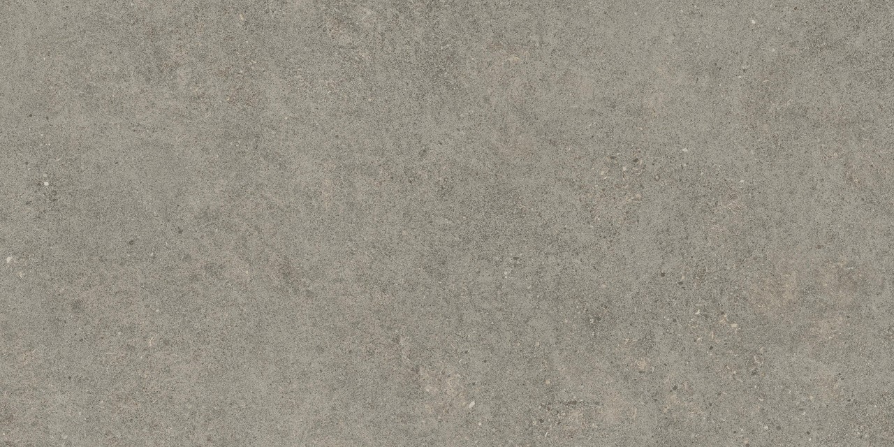 610010005821 Forte dei Marmi Rock Lunar Grey Matt Rett 60x120 Atlas Concorde Russia