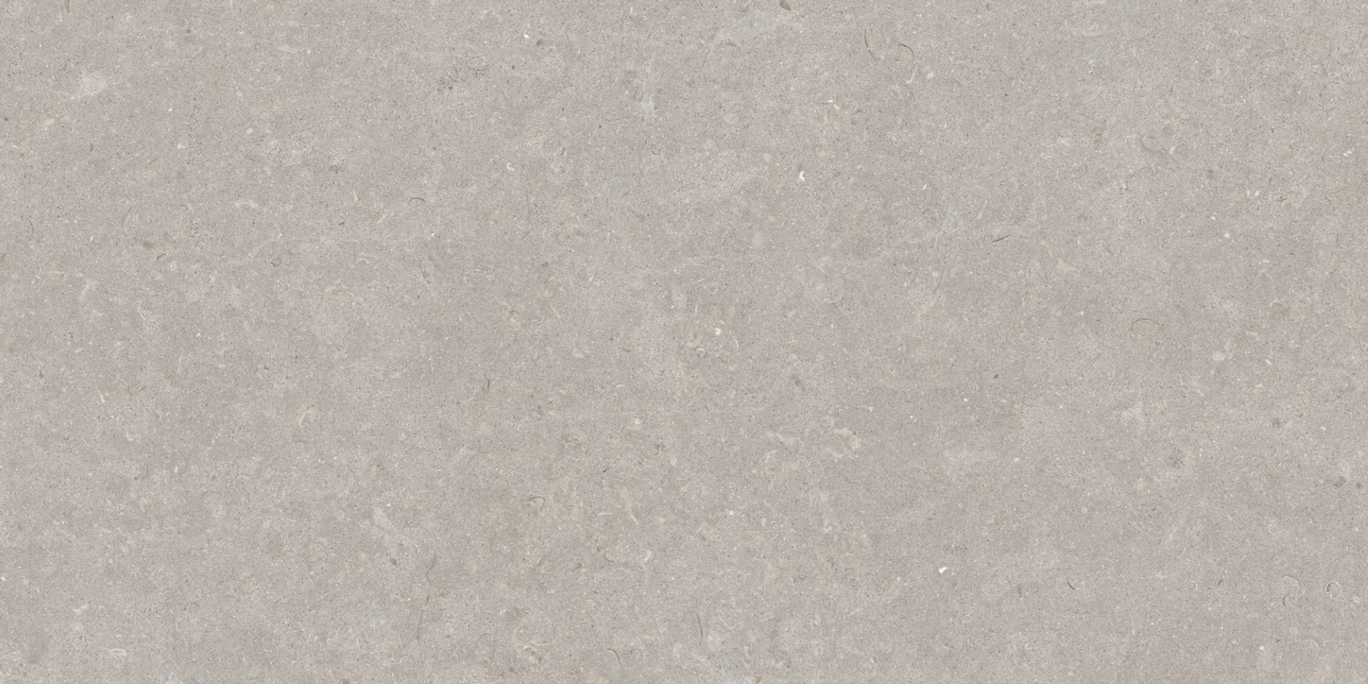 31751 Ghent Grey AS/60X120/C/R 60x120 Peronda фото 2