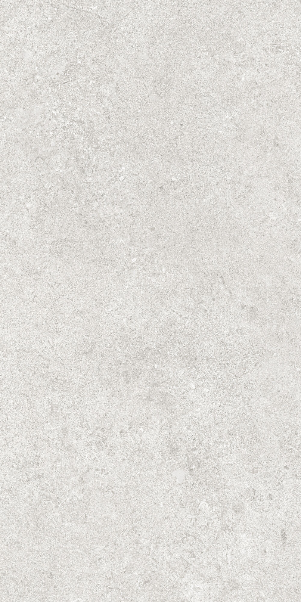 36904 Cluny Silver 4D/50X100X2/A/R 50x100 Peronda фото 19