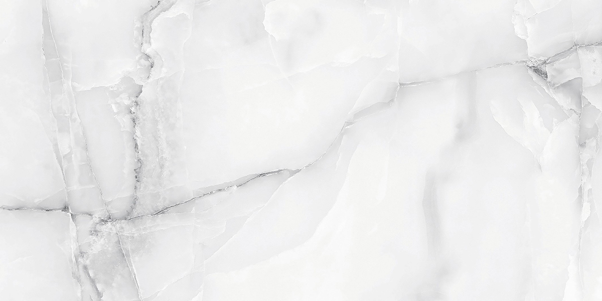 AB 1182G Snow Onix Grey Gloss 1200x600 Absolut Gres