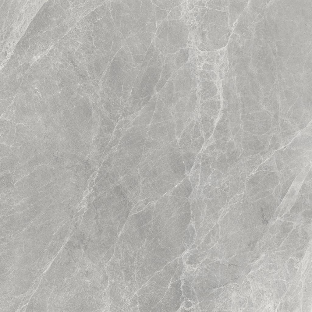 Worner GREY 60x60 Bluezone