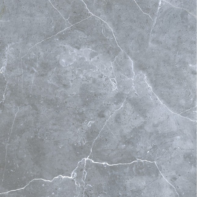 GRS02-16 Petra Northern Silver 60x60 Gresse