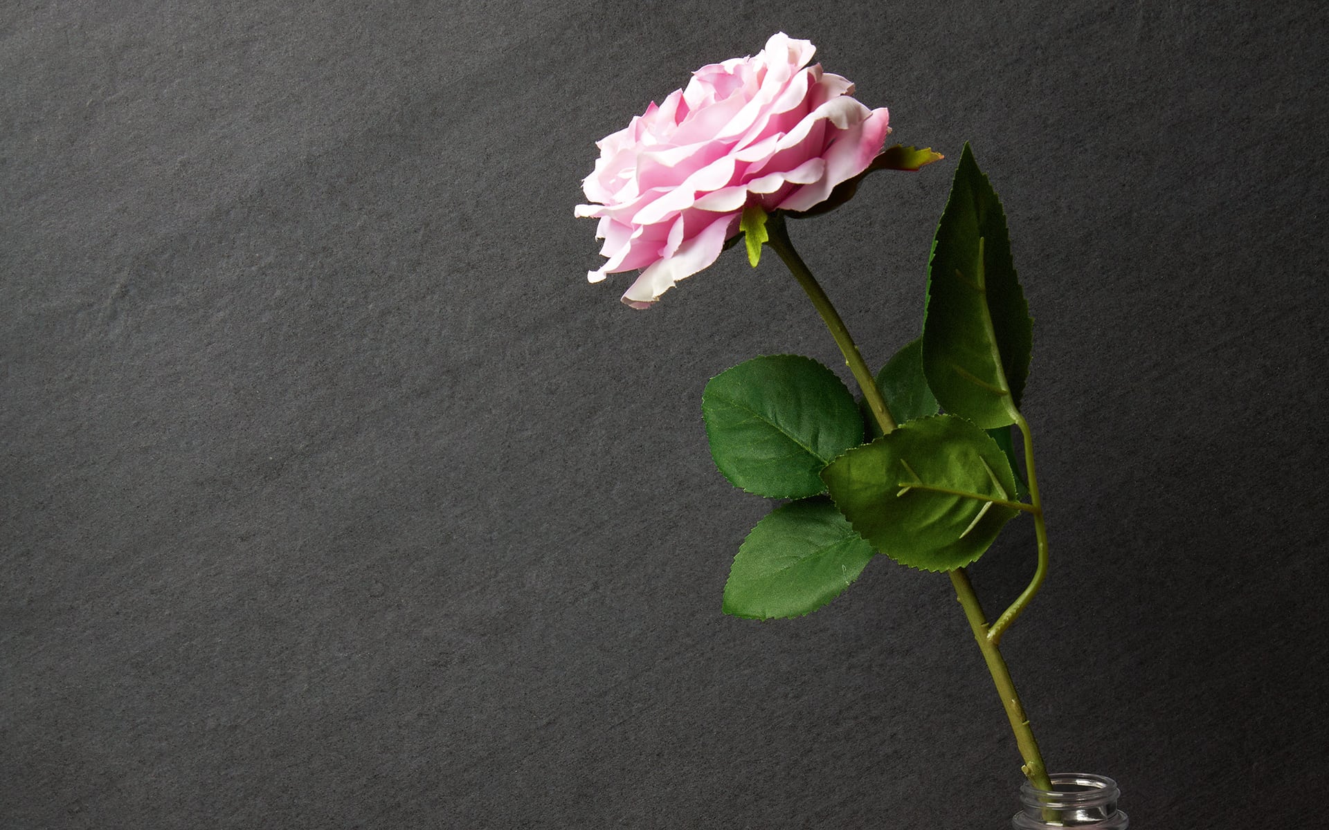 8929989 Victorian Stone Moon Cream Flamed 120x60 Iris Ceramica фото 32