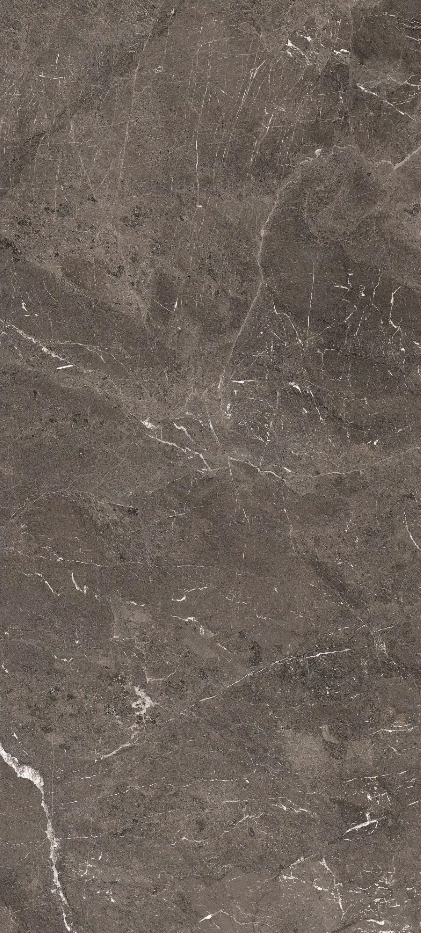 784883 Heritage Brown Matte Silk 6mm 120x280 Rex Ceramiche фото 4