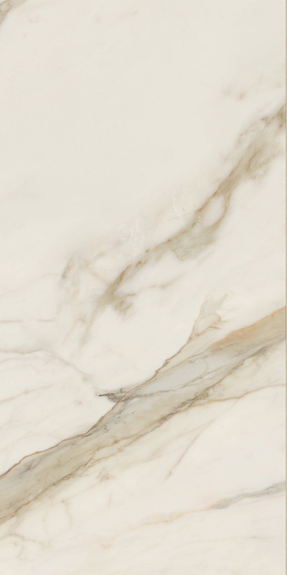 AIAT Golden White Matt RT 60x120 Caesar
