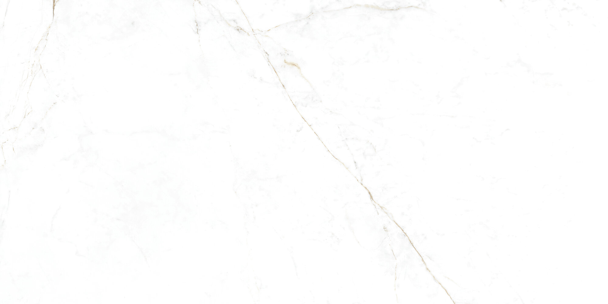 31741 Dual White EP 60x120 Peronda фото 7