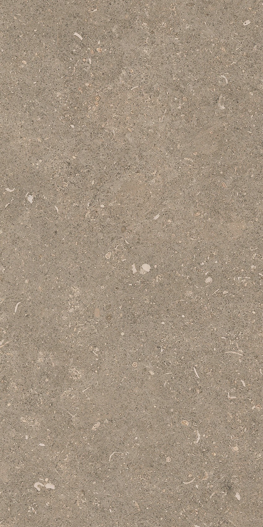 785490 Rinascenza Arena Pietra Matte 30x60 Casa Dolce Casa фото 7