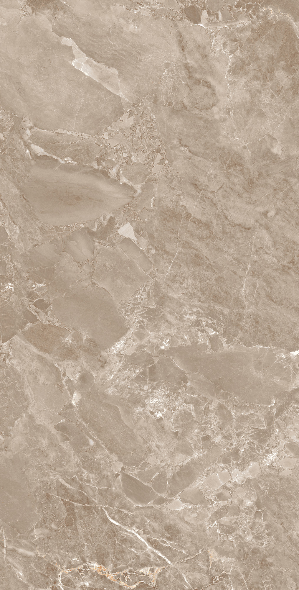 FP1031-A Modena Brown Full Polished 60x120 Arcadia Ceramica
