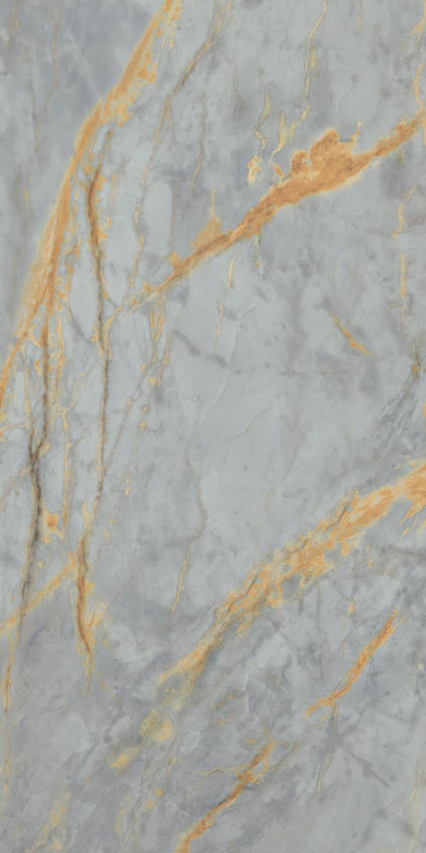 PF60009119 Sensi Signoria Grigio Siena Lux R 60x120 ABK