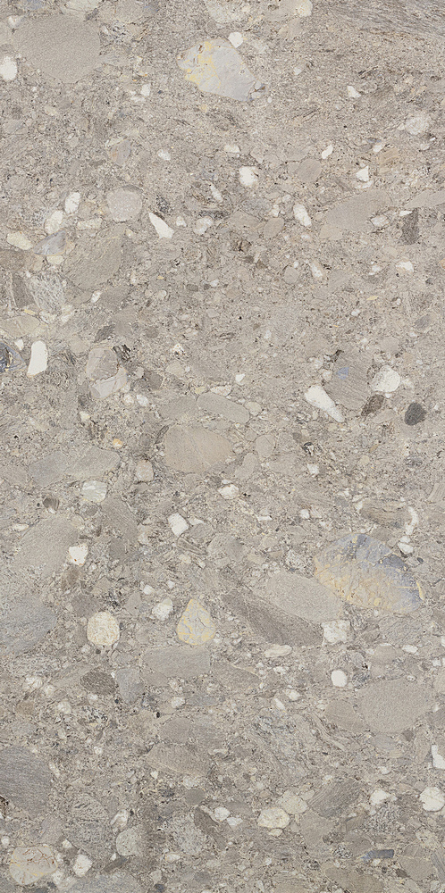 Ceppo Grigio Rett 60х120 Cercom фото 2