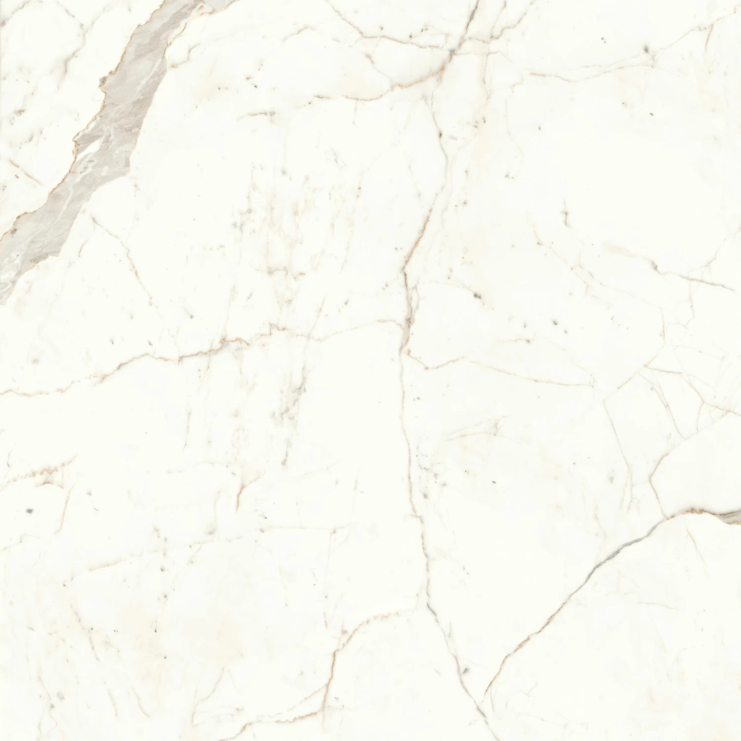 A4Q5 Marvel Calacatta Prestigio Matt 120x120 Atlas Concorde
