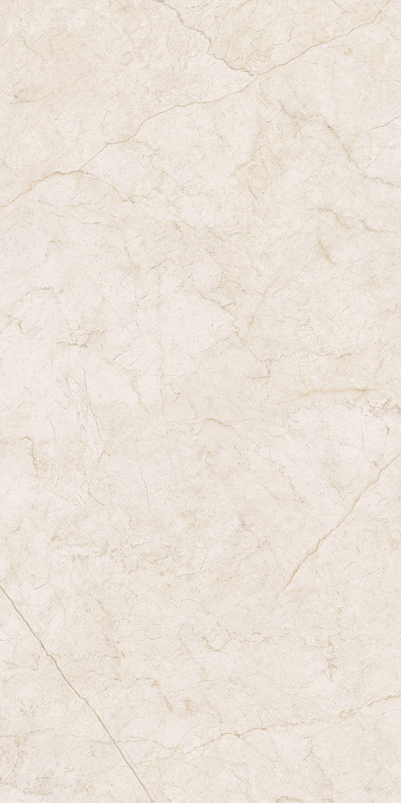 610010001692 Contempora Pure Nat 80x160 Italon