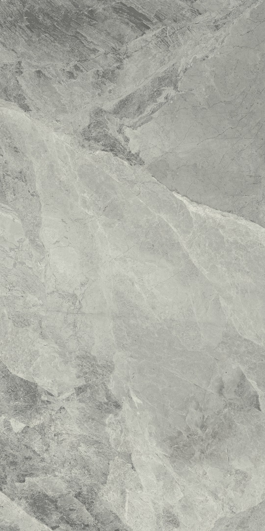 610010001196 Charme Extra Silver Nat Ret 60x120 Italon