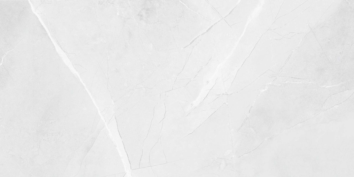 R_PR2015 Floris Bianco Polished 60x120 Royce
