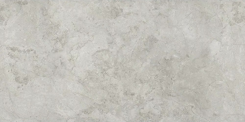 NR12060406-M Имперо Серый светлый матовый 1200x600x9.5 ProGRES Ceramica фото 4