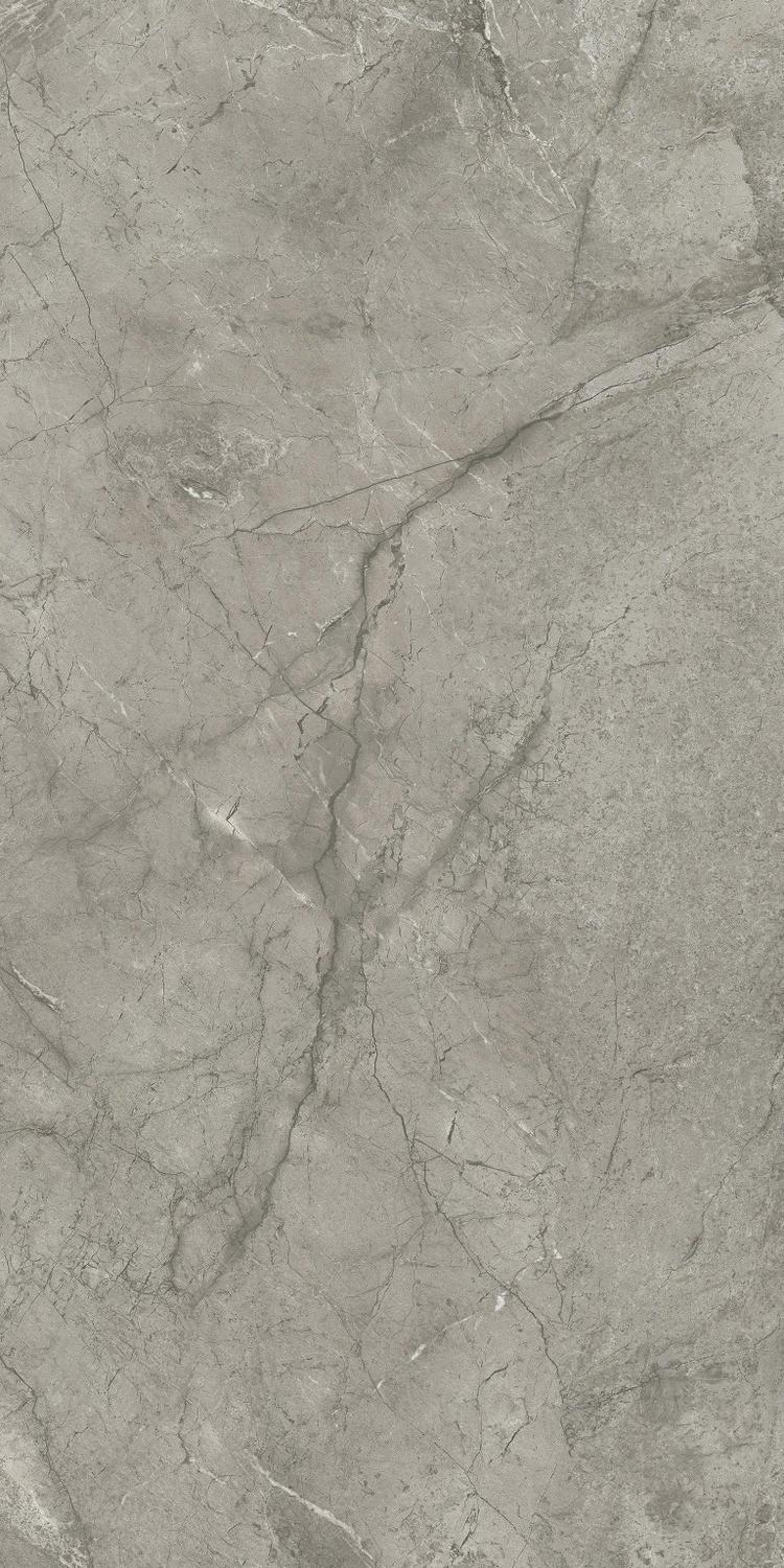 AJIT Marvel Meraviglia Silver Majestic Matt 60x120 Atlas Concorde
