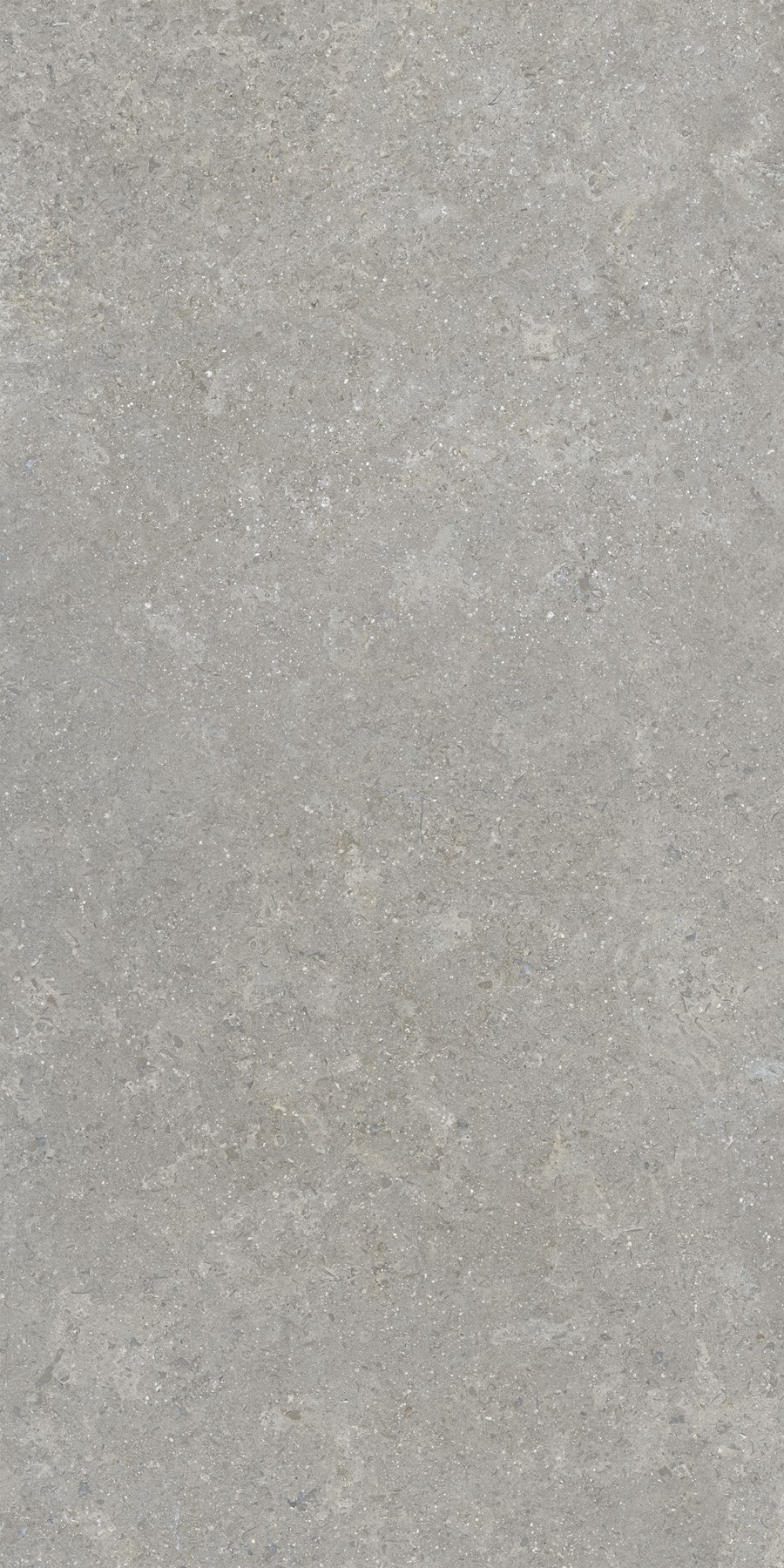 K948634R0001VTER SandStone Серый Матовый R10A Ректификат 60х120 Vitra