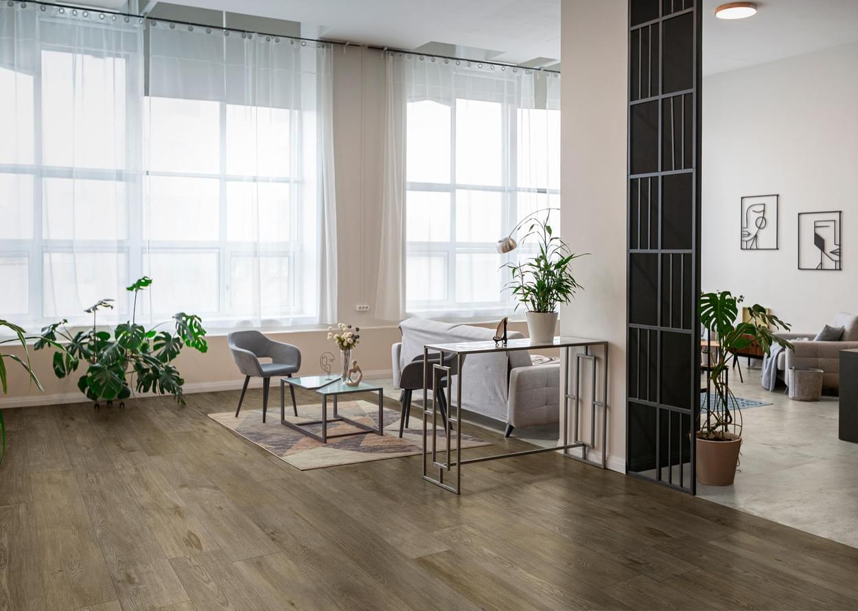 Inedito Ragno Marazzi