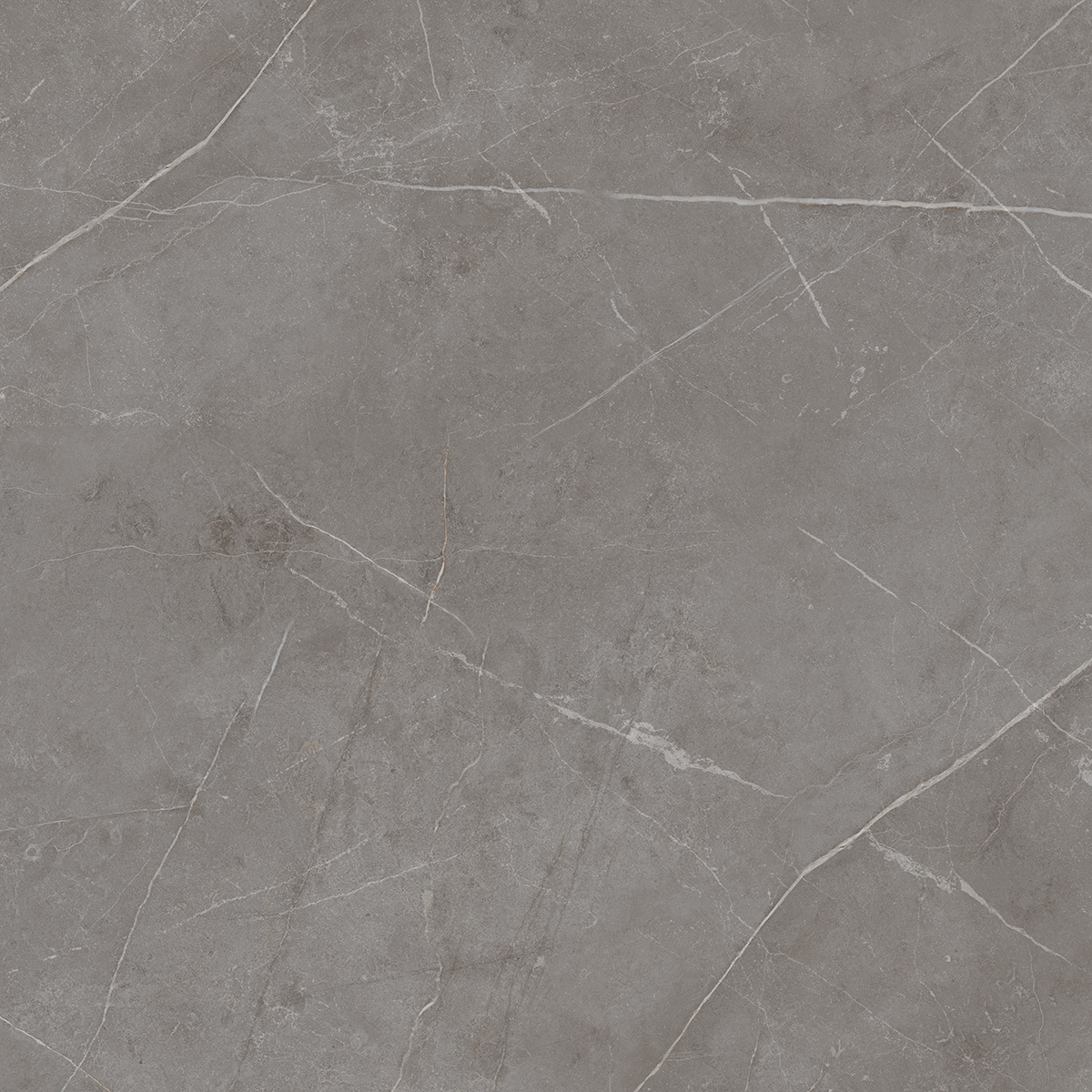 NL03 Nolana Dark Grey Неполированный Рект. 60x60x9  Estima фото 5