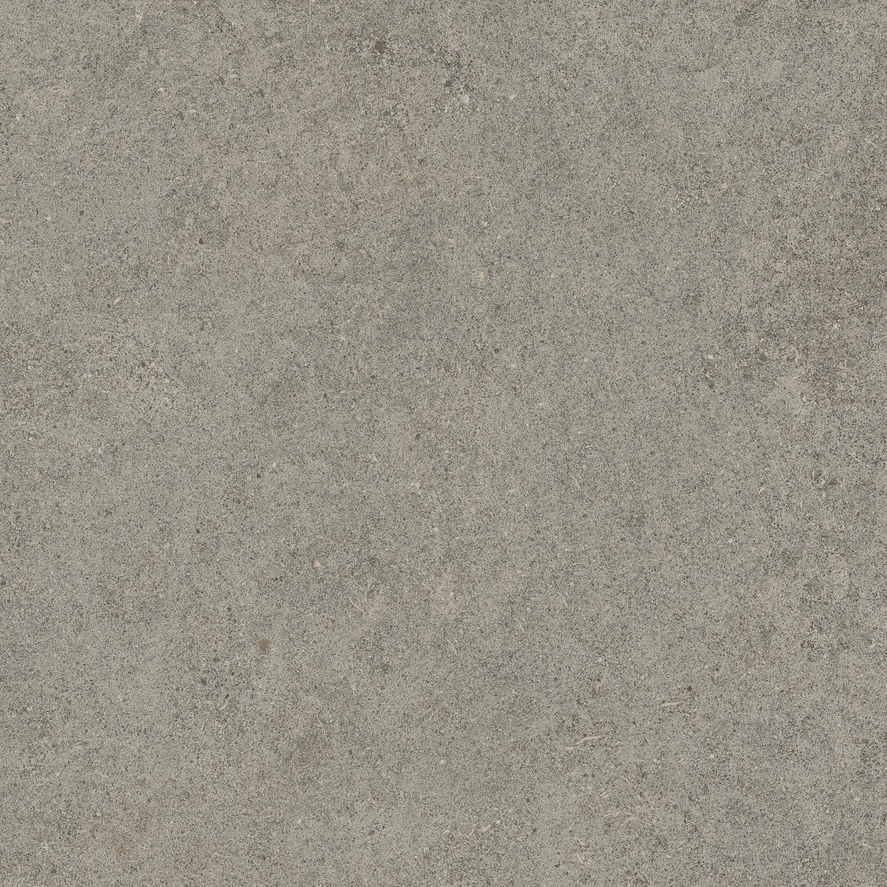 610010005836 Forte dei Marmi Rock Lunar Grey Lastra 20mm 60x60 Atlas Concorde Russia