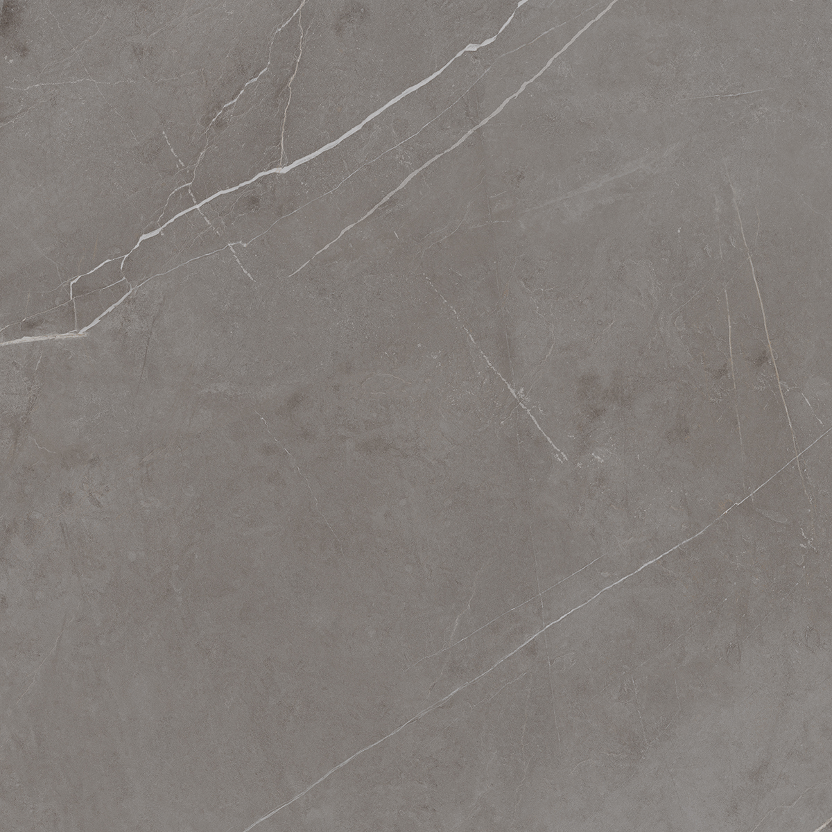 NL03 Nolana Dark Grey Неполированный Рект. 60x60x9  Estima фото 20